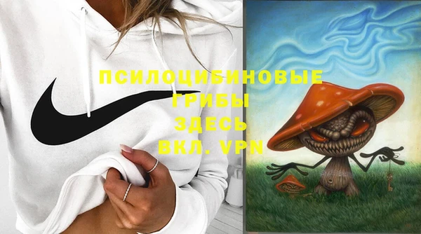 спайс Беломорск